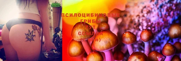 спиды Ладушкин