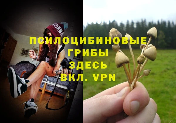 спиды Ладушкин