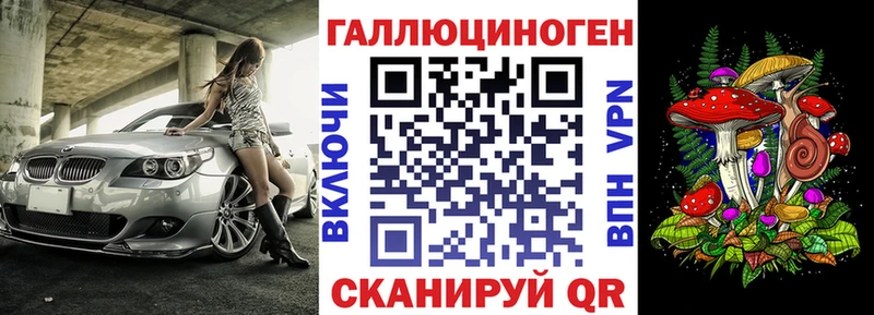 Псилоцибиновые грибы Psilocybine cubensis  площадка наркотические препараты  Фатеж  гидра ТОР 